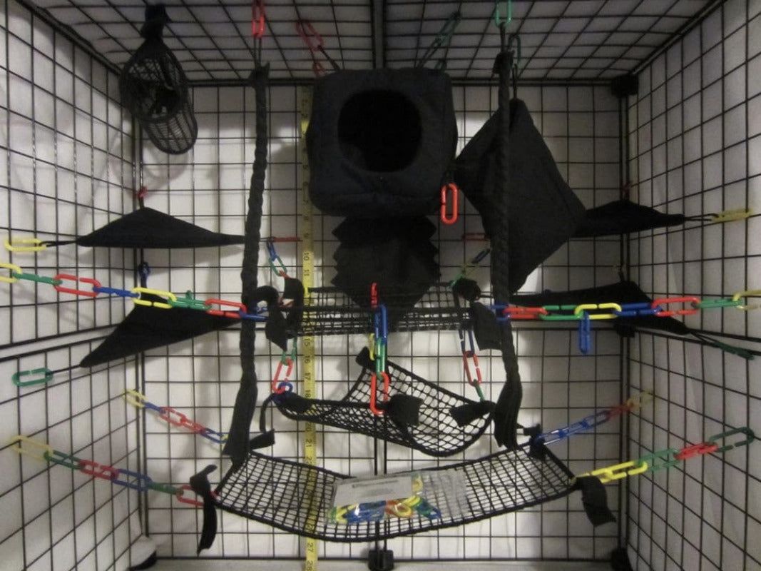 15-piece black mesh cube sugar glider cage set with breathable pouches, hammocks, and accessories for active gliders.