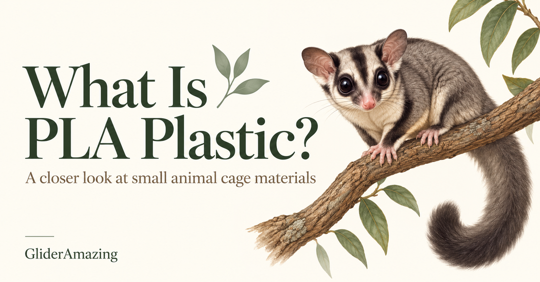 What Is PLA Plastic and Why Choose It for Small Animal Cage Accessories?