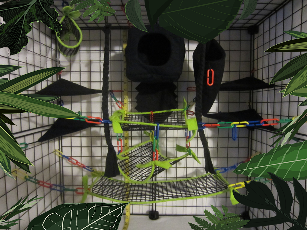 Mesh Cage Sets