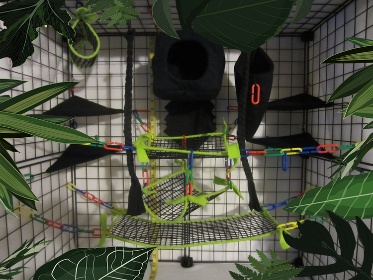 Mesh Cage Sets