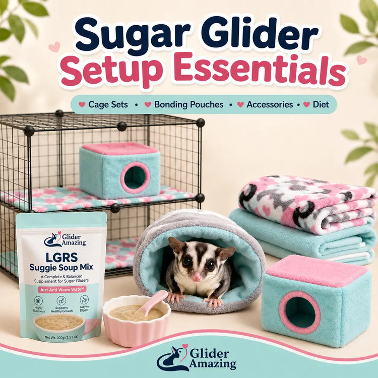 Sugar Glider Setup Essentials