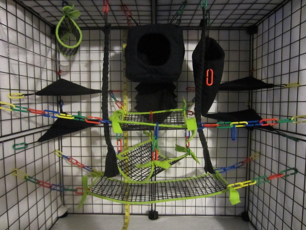 15-piece neon green mesh sugar glider cage set with cube-style pouches, hammocks, and breathable accessories.