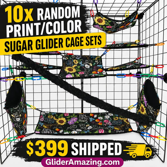 Bulk 10X Random Print/ Color Sugar Glider Fabric Cage Set Lot – Breeder Pack
