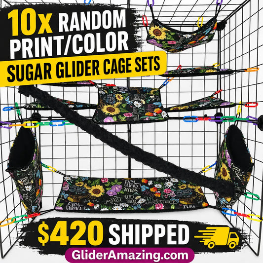 Bulk 10X Random Print/ Color Sugar Glider Cage Set Lot – Breeder Pack